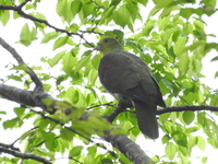 DSCN3793.JPG
