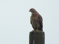 DSCN3851.JPG