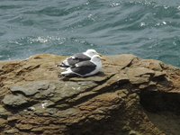 DSCN3988.JPG
