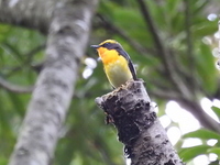 DSCN4004.JPG