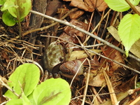 DSCN4020.JPG