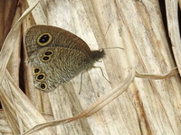 DSCN4033.JPG