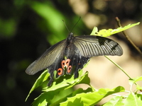 DSCN4048.JPG