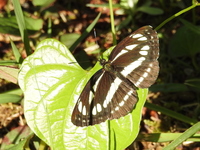 DSCN4068.JPG