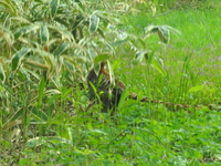 DSCN4104.JPG