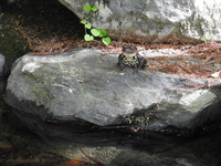 DSCN4119.JPG