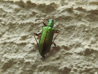 DSCN4161.JPG