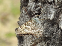 DSCN4173.JPG