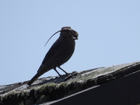 DSCN4184.JPG