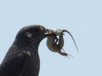 DSCN4190.JPG
