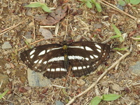 DSCN4225.JPG