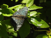 DSCN4256.JPG