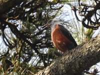 DSCN4277.JPG