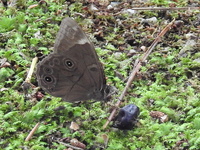DSCN4295.JPG