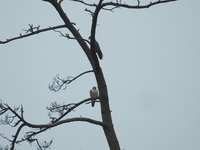 DSCN4329.JPG