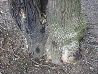 DSCN4506.JPG