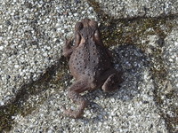 DSCN4522.JPG