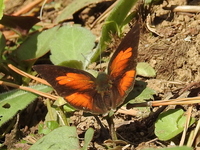 DSCN4591.JPG