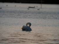 DSCN4648.jpg