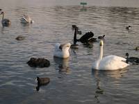 DSCN4658.jpg