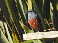 DSCN4770.JPG