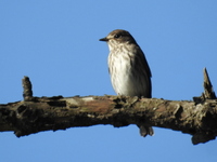 DSCN4778.JPG