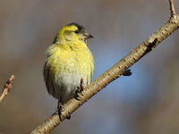 DSCN4791.JPG