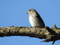 DSCN4814.JPG
