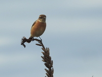 DSCN4860.JPG