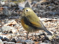 DSCN4878.JPG