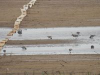 DSCN4908.jpg