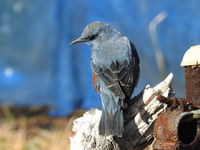 DSCN4928.JPG
