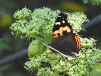 DSCN4929.JPG