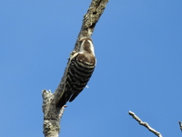 DSCN4997.JPG