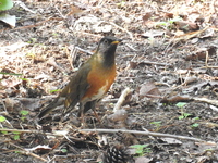 DSCN5040.JPG