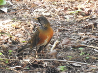 DSCN5045.JPG