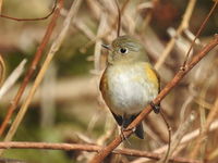 DSCN5046.JPG