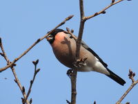 DSCN5056.JPG
