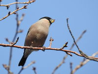 DSCN5073.JPG