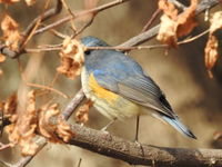 DSCN5103.JPG