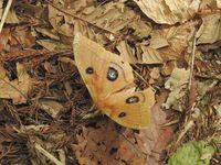 DSCN5109.jpg