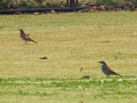 DSCN5116.JPG