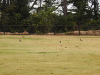 DSCN5121.JPG