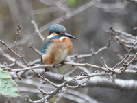 DSCN5137.JPG