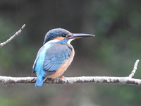 DSCN5145.JPG
