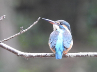 DSCN5150.JPG