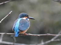DSCN5175.JPG