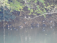 DSCN5195.JPG