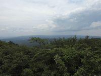 DSCN5210.jpg