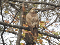 DSCN5298.JPG